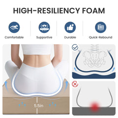 24x24" Outdoor Seat Cushion with Back Pillow